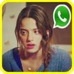 brasil girl for whatsapp android application logo